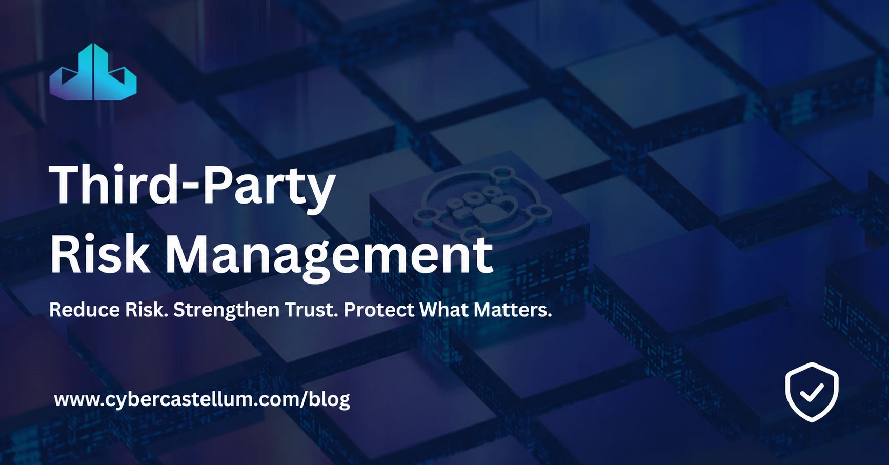 Third-Party Risk Management- Cyber Castellum